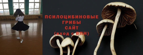 соль курить ск Костерёво